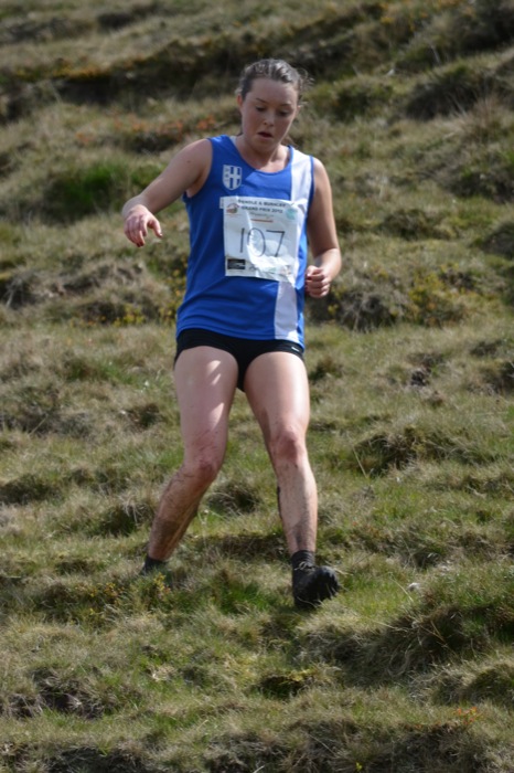 Photo gth (41).JPG copyright &copy; 2026 Dave Woodhead